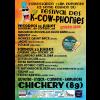 Festival K-Cow-Phonies